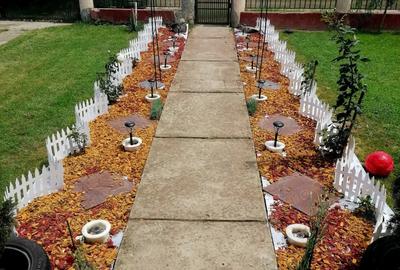 Casa Valea Calugareasca,Darvari, super pre? ! - 6