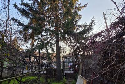 Casă cu 4 camere cu Teren 365 Mp în Dămăroaia - 4