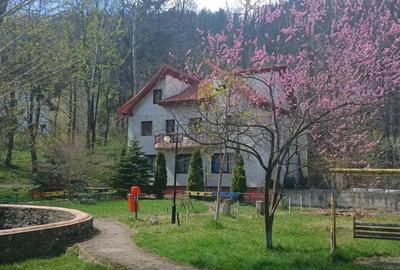 Vand casa P+1+mansarda - 3