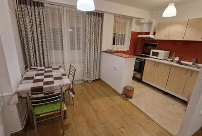 Garsoniera iancului-modern-metrou 3 minute - 5