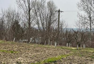 Teren intravilan, 2100 mp, deschidere 26 ml - Siret - 3