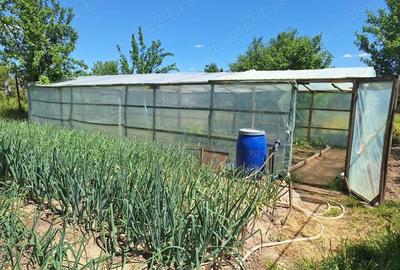 Casă cu 6 camere cu Teren 1668 Mp în Stăncuța - 4