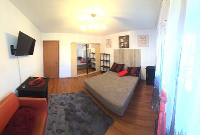 2 camere, în vila, la curte, centrala, parcare, pet friendly, metrou Gorjului, - 17