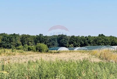 Teren Construcții intravilan de 6210 mp, în Apateu - 6