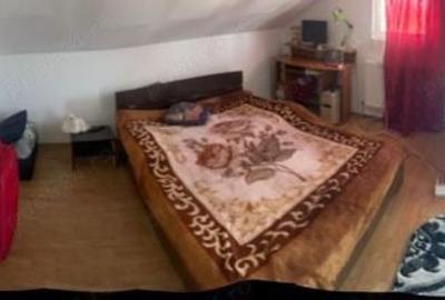 Casă cu 6 camere cu Teren 380 Mp în Buturugeni - 6