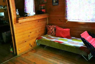 Com. Ileana - Calarasi, 4000 mp. teren si casa de vacanta cu deschidere la Balta - 4