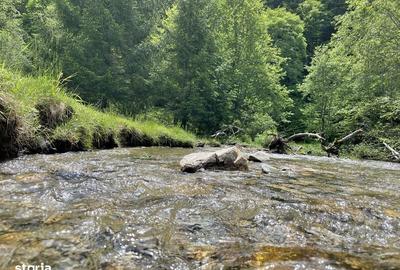 Teren de 7591 mp, în Poiana Mărului - 5