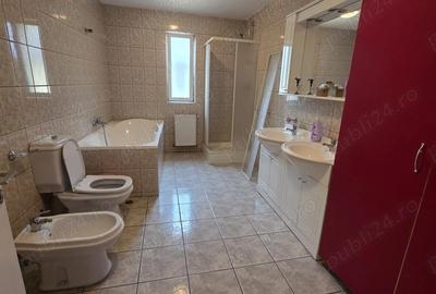 Spațiu comercial, de 220 mp, în Mehala - 13