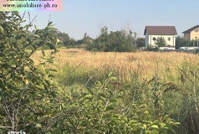 Spațiu comercial, în Blejoi - 2