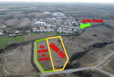 Teren de 5000 mp, în Albina - 1