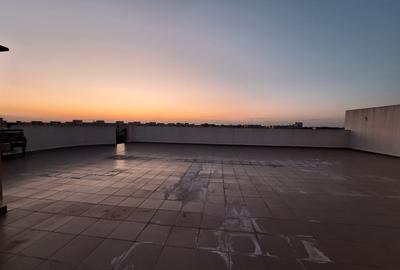 Penthouse 3 camere Piață Sudului - 12