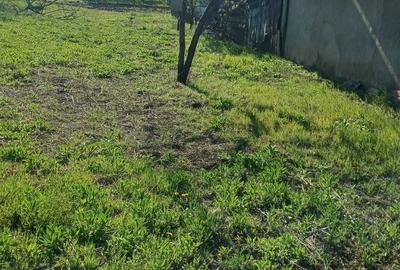 Casă cu 3 camere în Gara Bobocu - 2