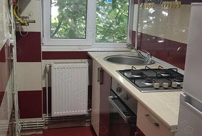 Apartament cu 2 camere semidecomandat în Banat - 7