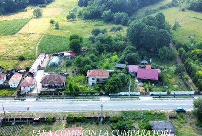 Casă cu 4 camere cu Teren 1730 Mp în Mihăești - 11