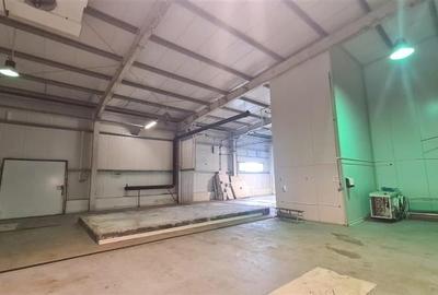 Hala industriala cu depozit Frigo, 3650 mp , Timisoara NORD - 3