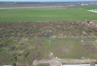 Spațiu comercial, în Central - 2