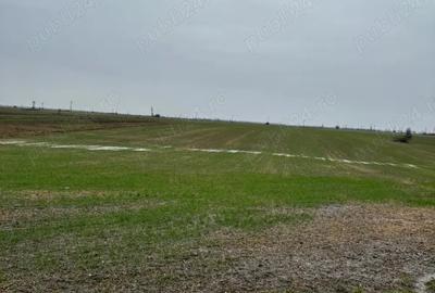 Casă cu 3 camere în Cosmești - 7