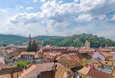 Zona Centrala Structura Generoasa - 11