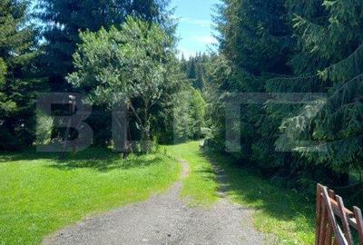 Ocazie , cabana, 300 mp utili, Poiana Stampei cu 6060 mp teren - 4