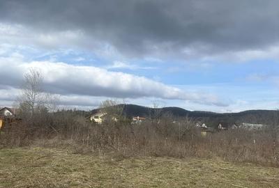 Teren de 1000 mp, în Bănești - 3