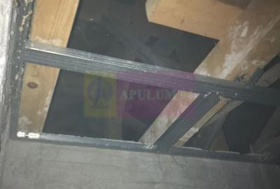Vila la rosu Zarnesti- Mitropolit Metianu cu vedere superba spre munte - 17