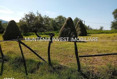 Spațiu comercial, în Brădetu - 3