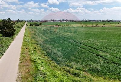 Teren de vanzare Chitila / loturi de casa/ Investitie / intravilan - 4