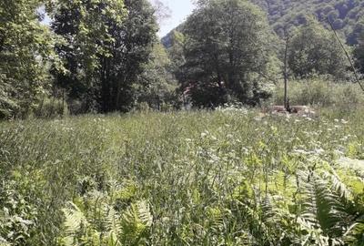 Teren Rusca  - Caras Severin - 2