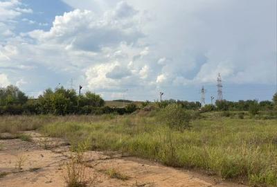 Teren de 5200 mp, în Peștișu Mare - 3