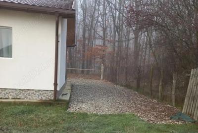 Casă cu 3 camere cu Teren 5013 Mp în Dogari - 4