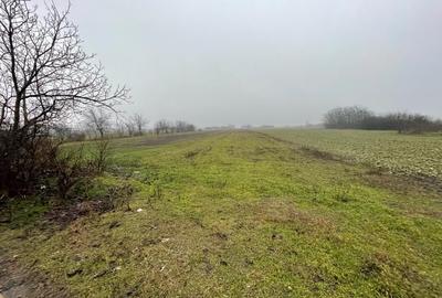 Teren Construcții intravilan de 6105 mp, în Sălciile - 3