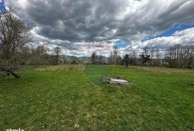 Teren de 5097 mp, în Groși - 2