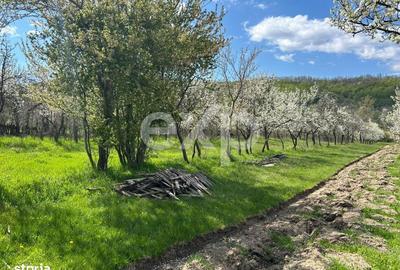 Spațiu comercial, în Săliștea - 5