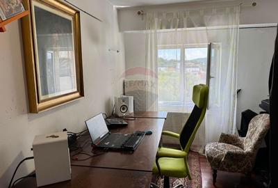 Apartament cu 4 camere de vanzare,Strada Crangului Nr. 11, zona Balta - 8