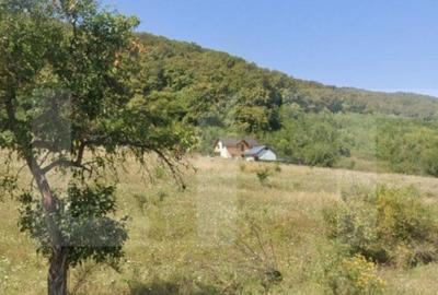 Teren Extravilan, 1300 mp, zona Viisoara - 1