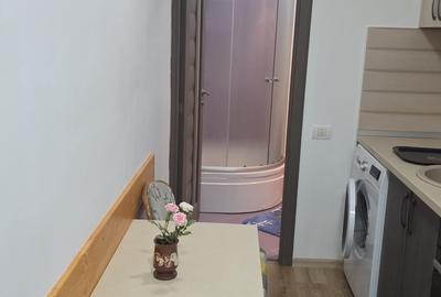 Garsoniera la curte, centrala proprie, Aparatorii Patriei metrou 5' mers pe jos - 7