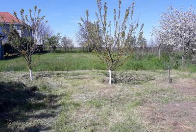 Casă cu 4 camere în Valu lui Traian - 1