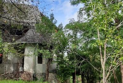 Casă cu 7 camere cu Teren 2340 Mp în Breaza - 3