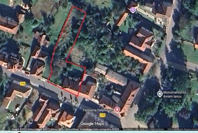 Casa cu aer nobil in Baia de Cris - 19