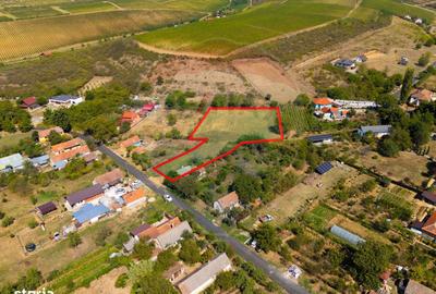 Teren de 4184 mp, în Ghioroc - 10