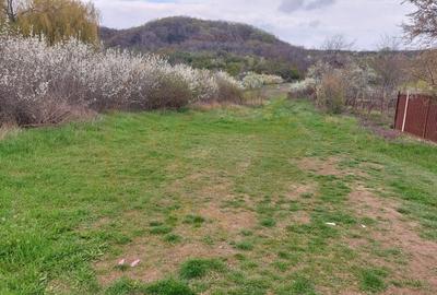 Teren Topoloveni - 3670 mp - langa padure, aproape de Centrul orasului - 2