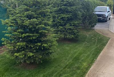 Vanzare casa Paradisul Verde Corbeanca - 7