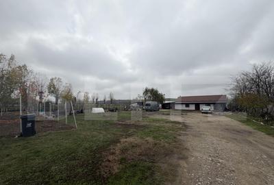 Teren intravilan agricol, sere, anexa agricola, 11500 mp ter - 10