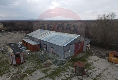 Spatiu industrial hale cu teren in zona Mihai Bravu Ploiesti - 7