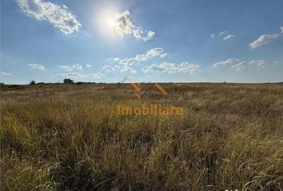 Teren de 2877 mp, în Cordău - 2