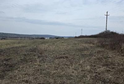 Teren de 6107 mp, în Central - 5
