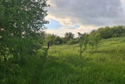 Teren intravilan Dorohoi, str.Mihai Eminescu - 4