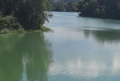 Teren de 1700 mp, în Valea Doftanei - 2