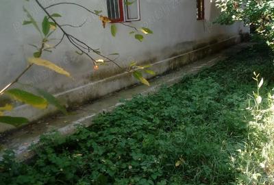 Casă cu 5 camere cu Teren 3800 Mp în Central