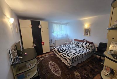 Magurele/Darasti-Ilfov/Vila individula cu crama,garaj,foisor,livada si solar - 17